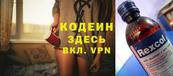 шишки Арсеньев