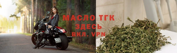 шишки Арсеньев