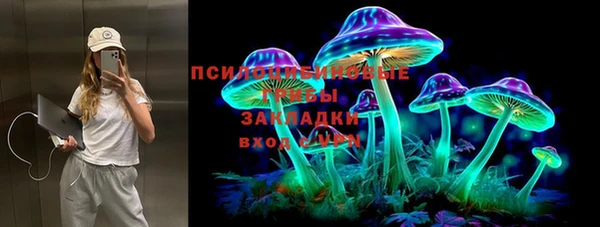 крисы Армянск