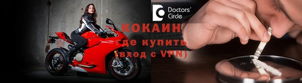 шишки Арсеньев