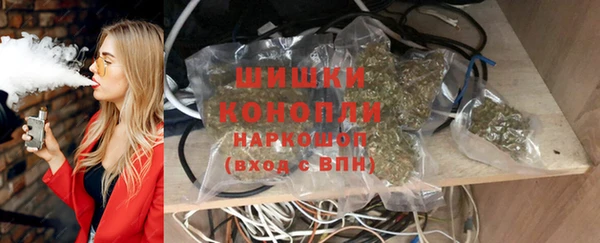 шишки Арсеньев