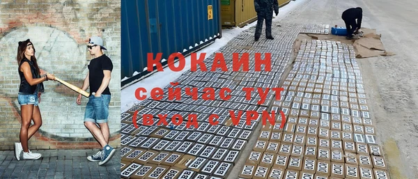 крисы Армянск