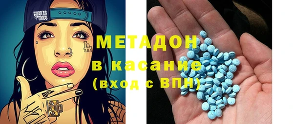 шишки Арсеньев